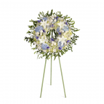 CORONA REDONDA CELESTE