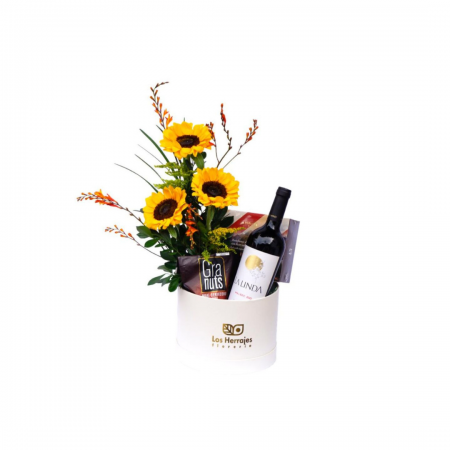 COMBO GIRASOL