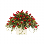 LAGRIMA DE FÉRETRO EN ROJO