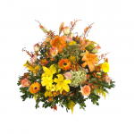 ROMINA OTOÑAL ESPECIAL