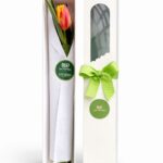 CAJA 1 TULIPAN