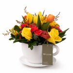 TEA TIME TULIPAN