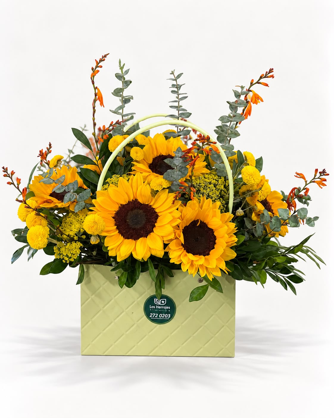 CARTERITA GIRASOLES