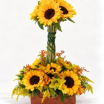 GIRASOLES PARADITOS