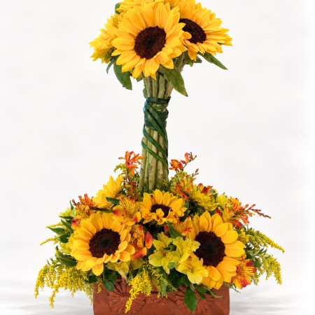 GIRASOLES PARADITOS