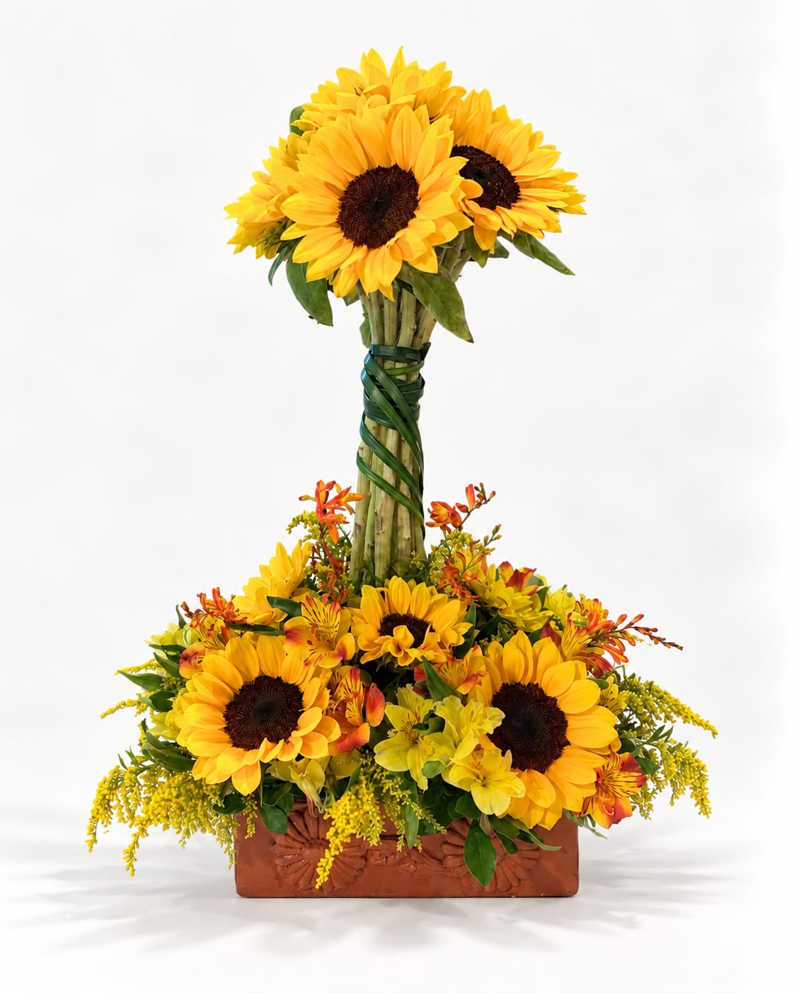 GIRASOLES PARADITOS