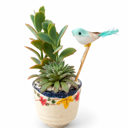 LITTLE BIRDS